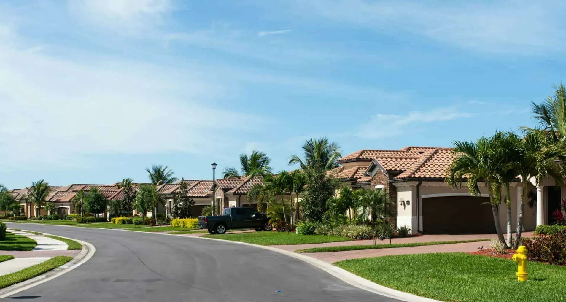 Residential Street with Palm Trees in Australia domestic rubbish removal