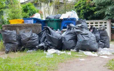 Same-Day Rubbish Removal in Melbourne: What You Need to Know